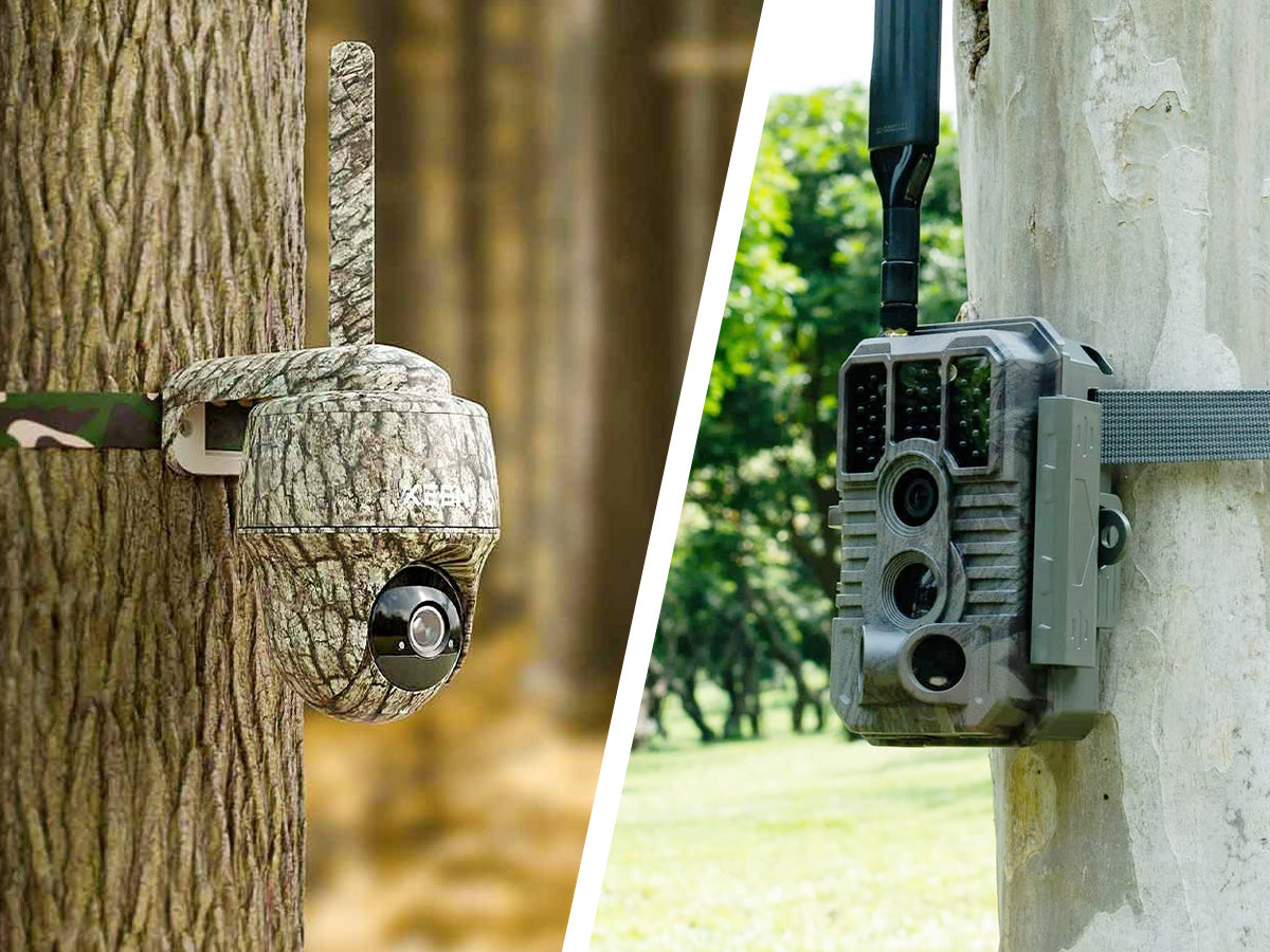 How Do Cellular Trail Cameras Work?