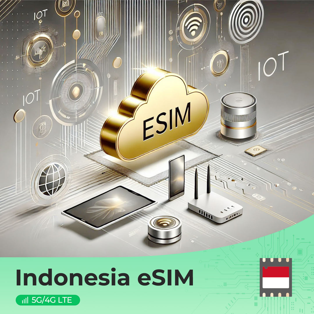 Indonesia eSIM cloud with IoT devices, 5G/4G LTE connectivity illustration